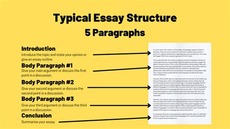 How Many Paragraphs Does an Essay Have? – A Deep Dive into the Structure of an Essay